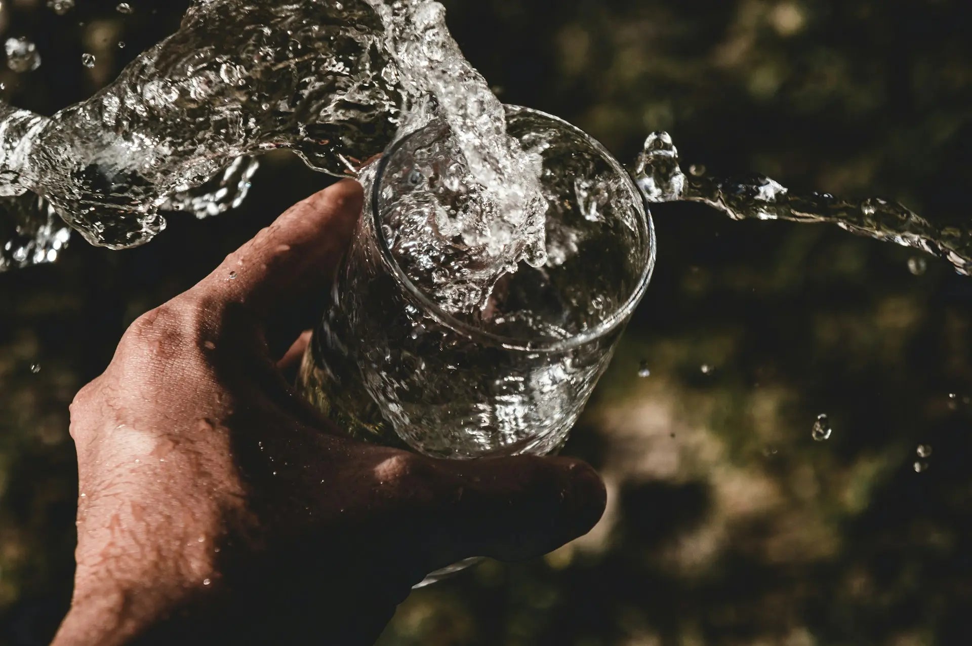 Freedom Water Filter Collections